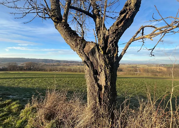 Casa Valentini Апартаменты *