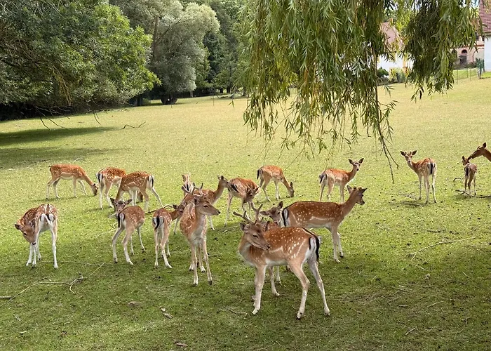 Casa Valentini Zapfendorf